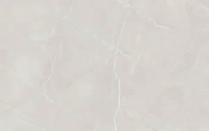 7320 Fusion silver F4