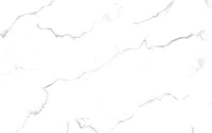 7109 Attica White F2