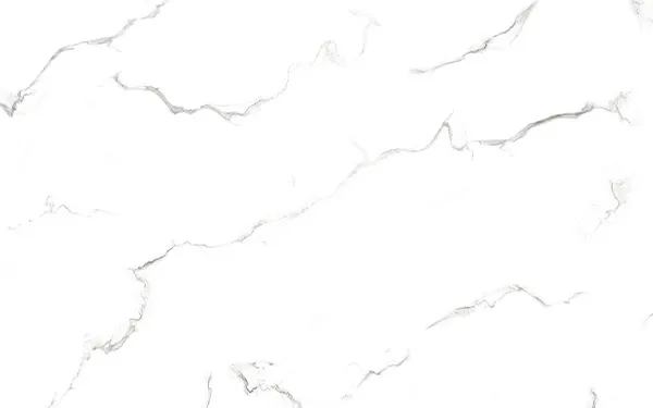 7109 Attica White F2