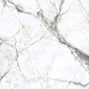 8108 INVISIBLE WHITE A