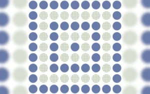 8019 ROOF EVO DOTS BLUE
