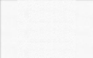 8025 RAINDROP COOL ROOF